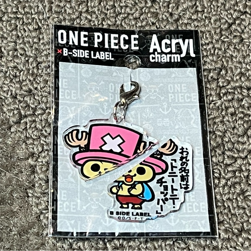 *6 for $10!*BROKEN/CRACKED/DAMAGED* B-Side Label Chopper Acrylic Charm One Piece